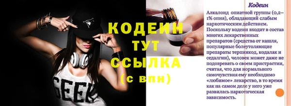 ГАЛЛЮЦИНОГЕННЫЕ ГРИБЫ Арсеньев