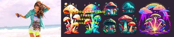 хмурый Алзамай