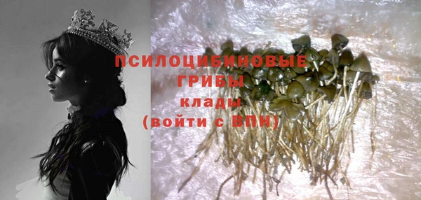 ГАЛЛЮЦИНОГЕННЫЕ ГРИБЫ Арсеньев
