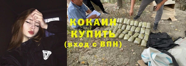 ГАЛЛЮЦИНОГЕННЫЕ ГРИБЫ Арсеньев