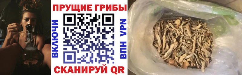 Галлюциногенные грибы прущие грибы  Самара 