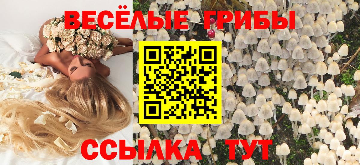 Псилоцибиновые грибы Cubensis Самара