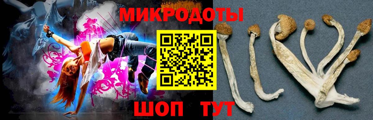 Галлюциногенные грибы GOLDEN TEACHER  Вход с VPN  Самара  магазин продажи наркотиков  Псилоцибиновые грибы GOLDEN TEACHER 